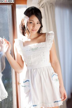 狼伴归途